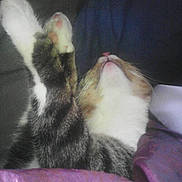 Jb participe au concours pour gagner de l'argent avec cette photo :