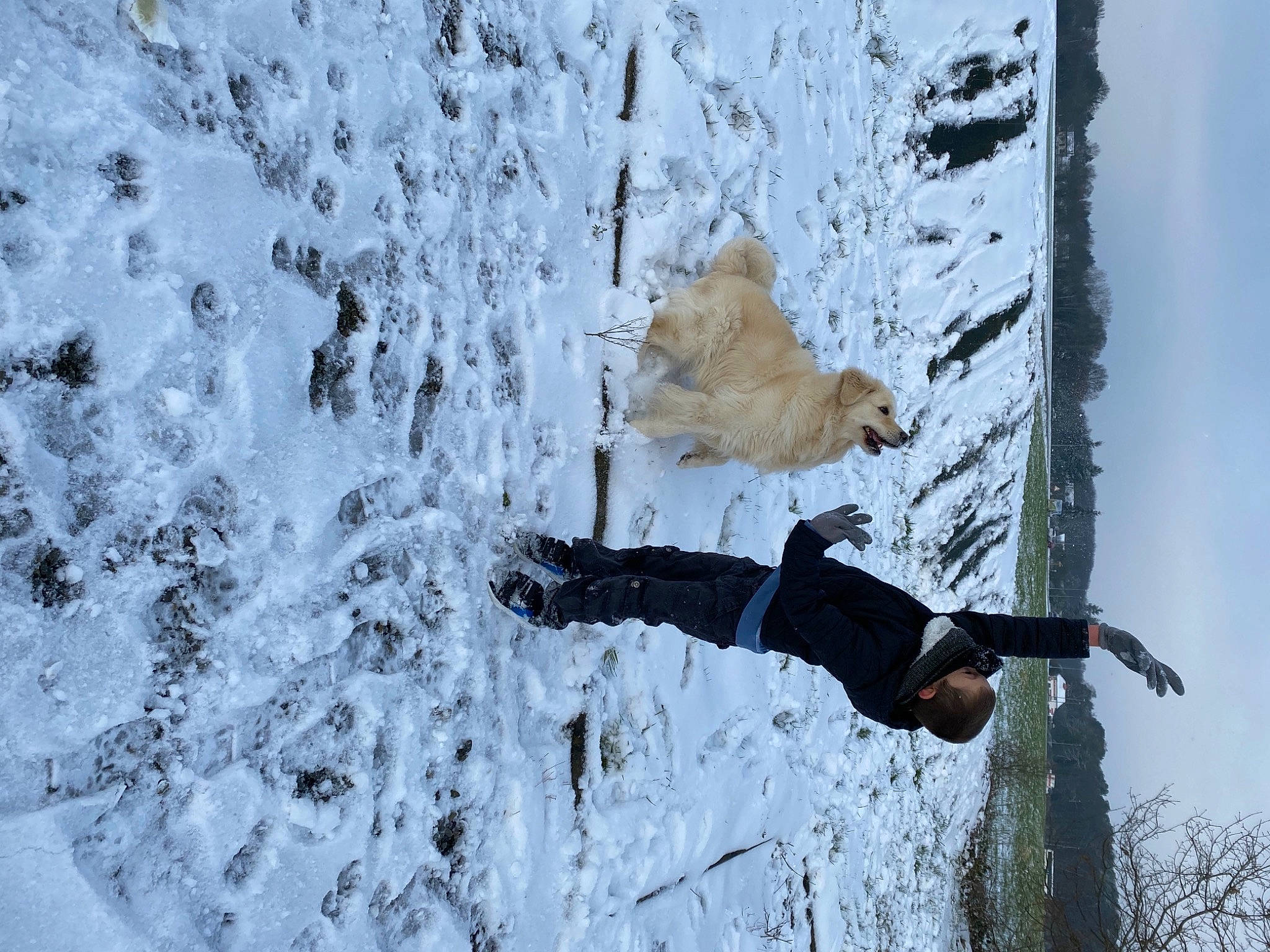 Bailey a rejoint le concours — aidez-le/la à gagner de superbes lots ! climbing, extreme_sport, formation, freezing, fun, geological_phenomenon, glacial_landform, ice_cap, mountaineer, outdoor_recreation, plant, recreation, rock_climbing_equipment, sky, slope, snow, sport_climbing, tree, winter, wood