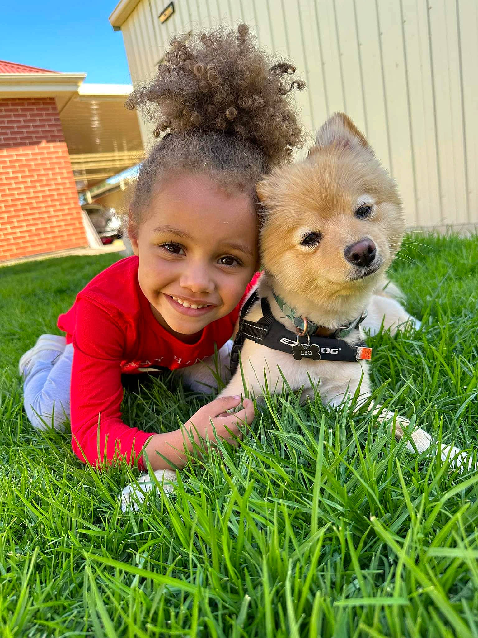 Madison is registered to the contest to win money with this photo: carnivore, child, companion_dog, dog, dog_breed, fawn, fun, grass, grassland, happy, joy, lawn, leisure, people_in_nature, person, plant, play, prairie, smile, toddler