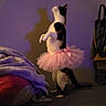 animal, ballet, bed, bedroom, black_and_white_cat, blanket, cat, cute, dancing, dramatic_pose, funny, indoor, pet, pink, purple_lighting, raised_paws, shadow, standing, tutu, wall