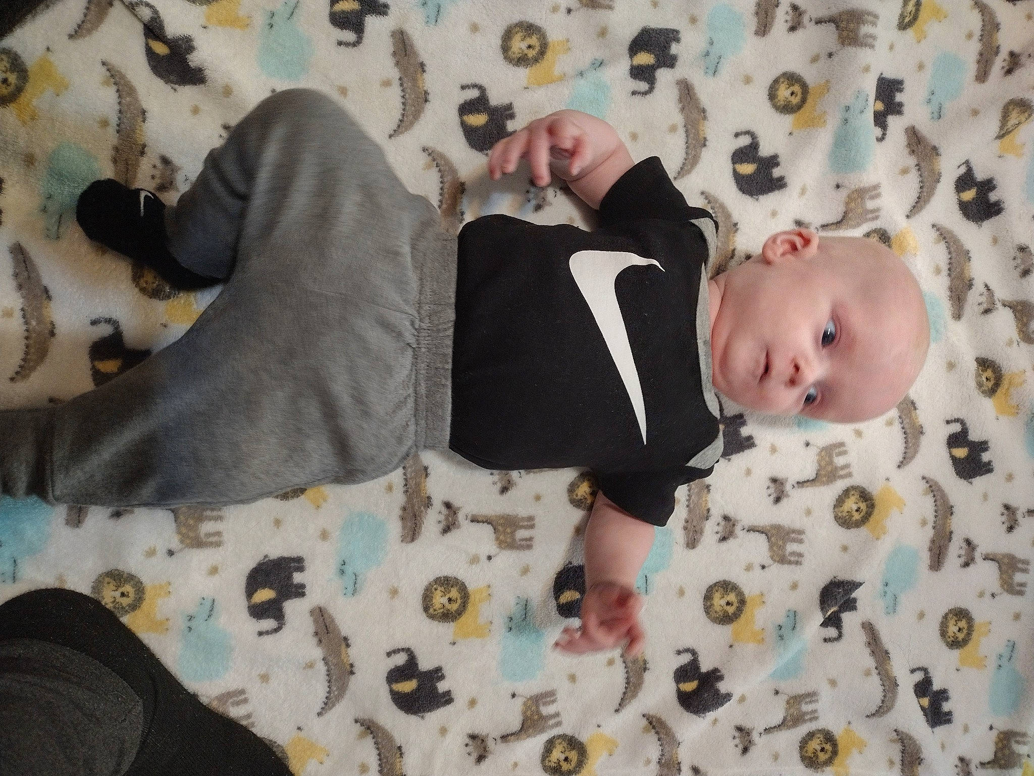 Osiris joined the competition — help win amazing prizes! baby, baby_products, baby_toddler_clothing, baby_toys, child, comfort, facial_expression, flooring, fun, happy, head, human_body, leisure, linens, pattern, person, play, room, sitting, t_shirt