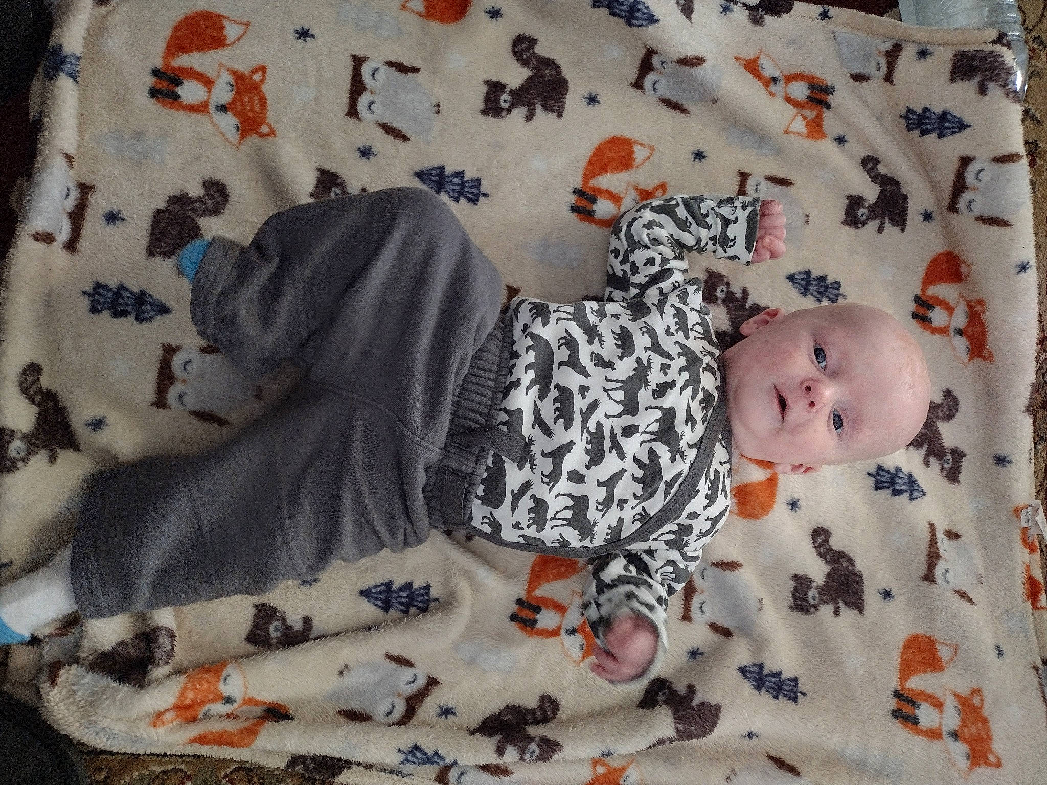 Osiris joined the competition — help win amazing prizes! baby, baby_products, baby_toddler_clothing, baby_toys, bed_sheet, child, comfort, flooring, foot, linens, pattern, person, product, room, sleeve, t_shirt, textile, toddler, vertebrate, wood