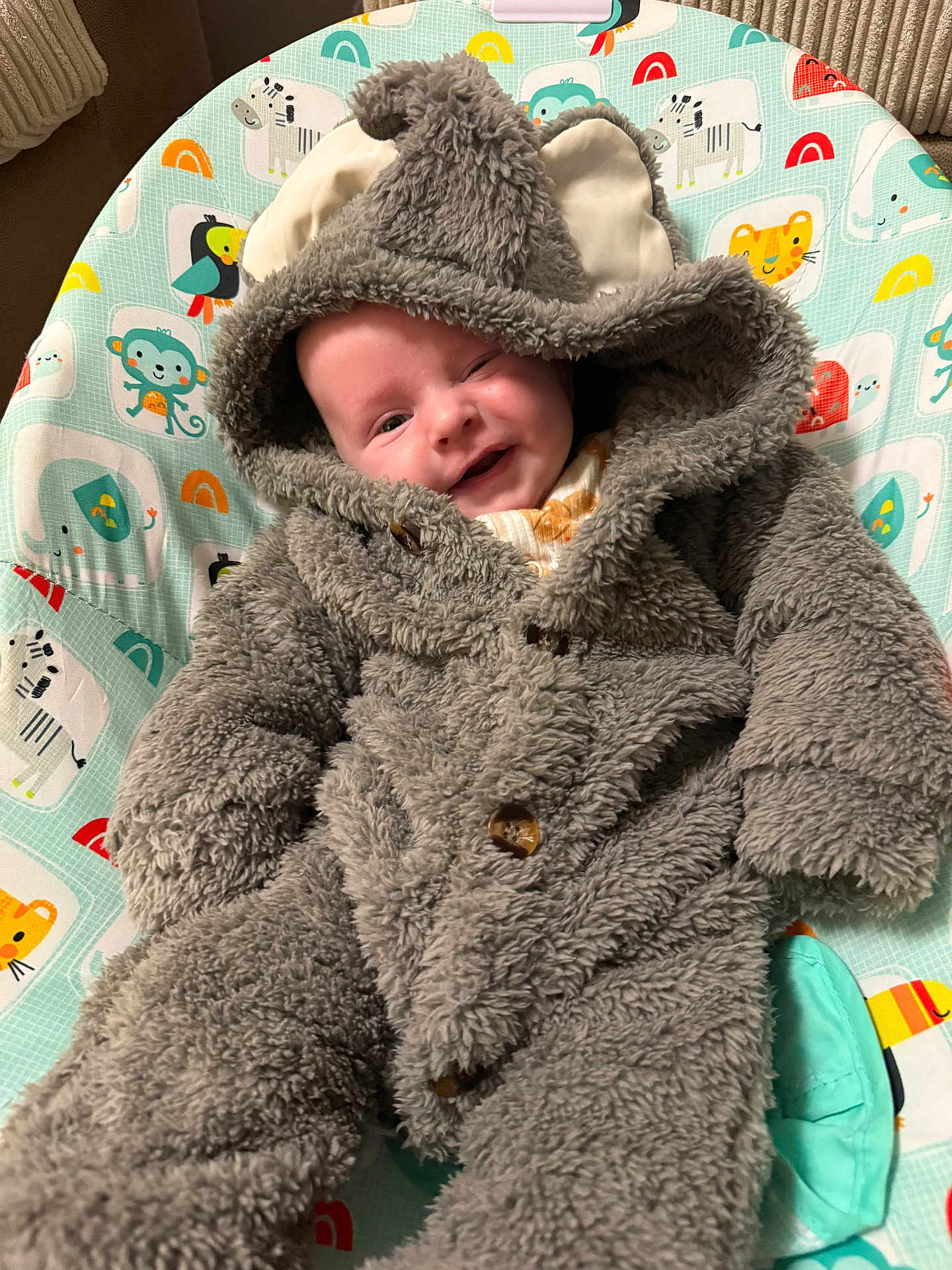 Henry is registered to the contest to win money with this photo: baby, infant, child, costume, plush, hood, smile, winking, animal_print, baby_seat, colorful, happy, cute, soft, clothing, button, face, portrait, indoors, cozy