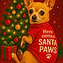 Lucy is registered to the contest to win money with this photo: dog, chihuahua, christmas_tree, christmas_ornaments, christmas_lights, holiday_sweater, red_sweater, gift_box, festive, holiday, pet, cute, animal, indoor, decorations, paw_print, christmas_star, christmas_gift, seasonal, celebration