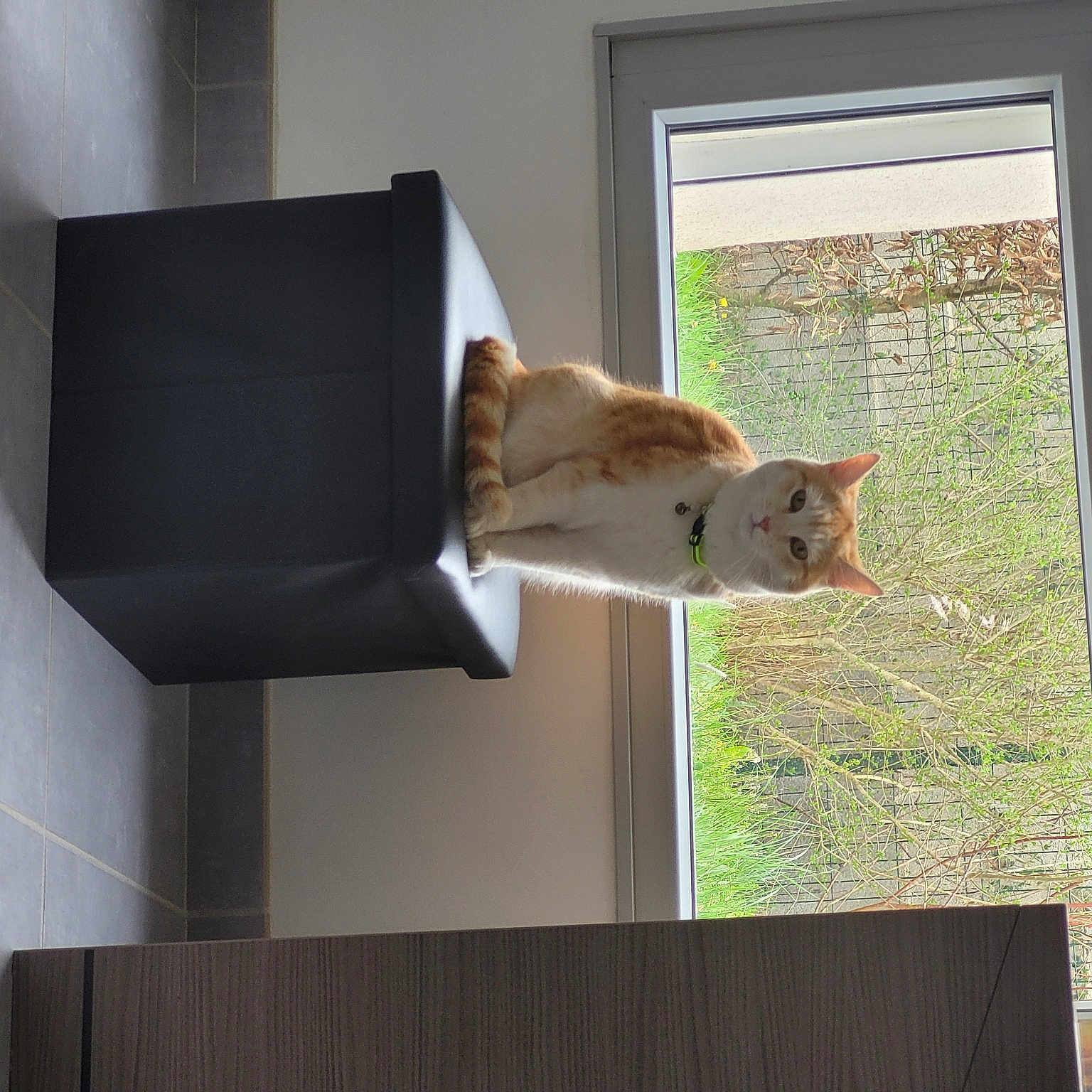Minet