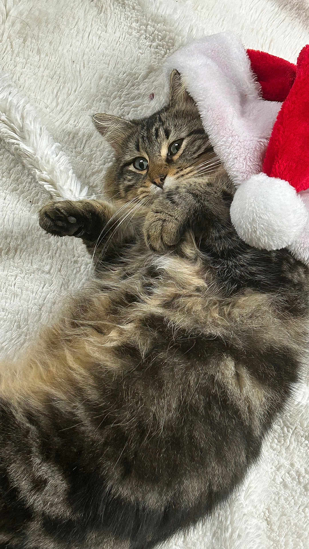 Fluff