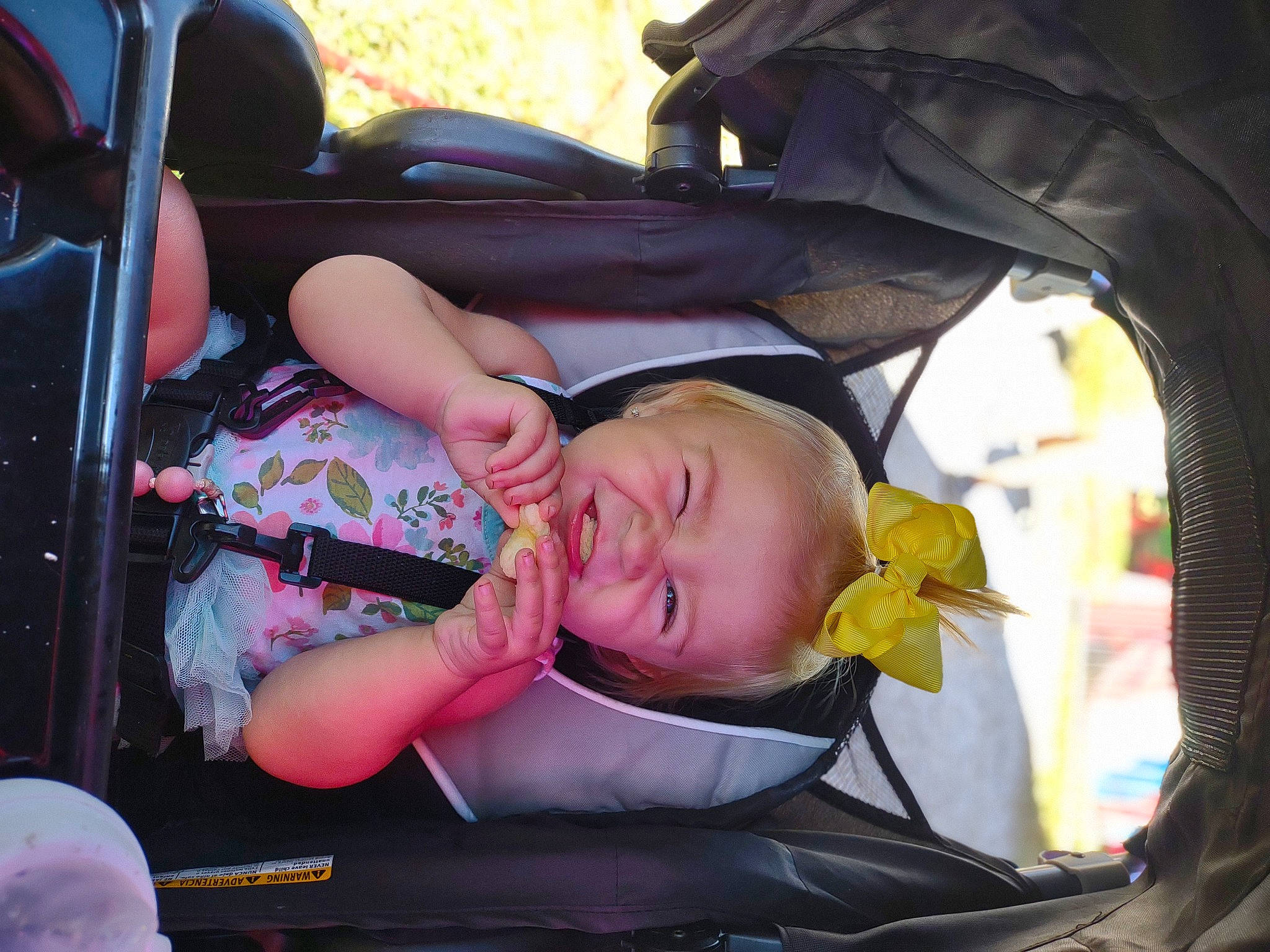 Alaya joined the competition — help win amazing prizes! auto_part, baby, baby_carriage, baby_in_car_seat, baby_products, baby_toddler_clothing, car_seat, car_seat_cover, cheek, child, comfort, finger, fun, motor_vehicle, mouth, person, seat_belt, toddler, tree, vacation