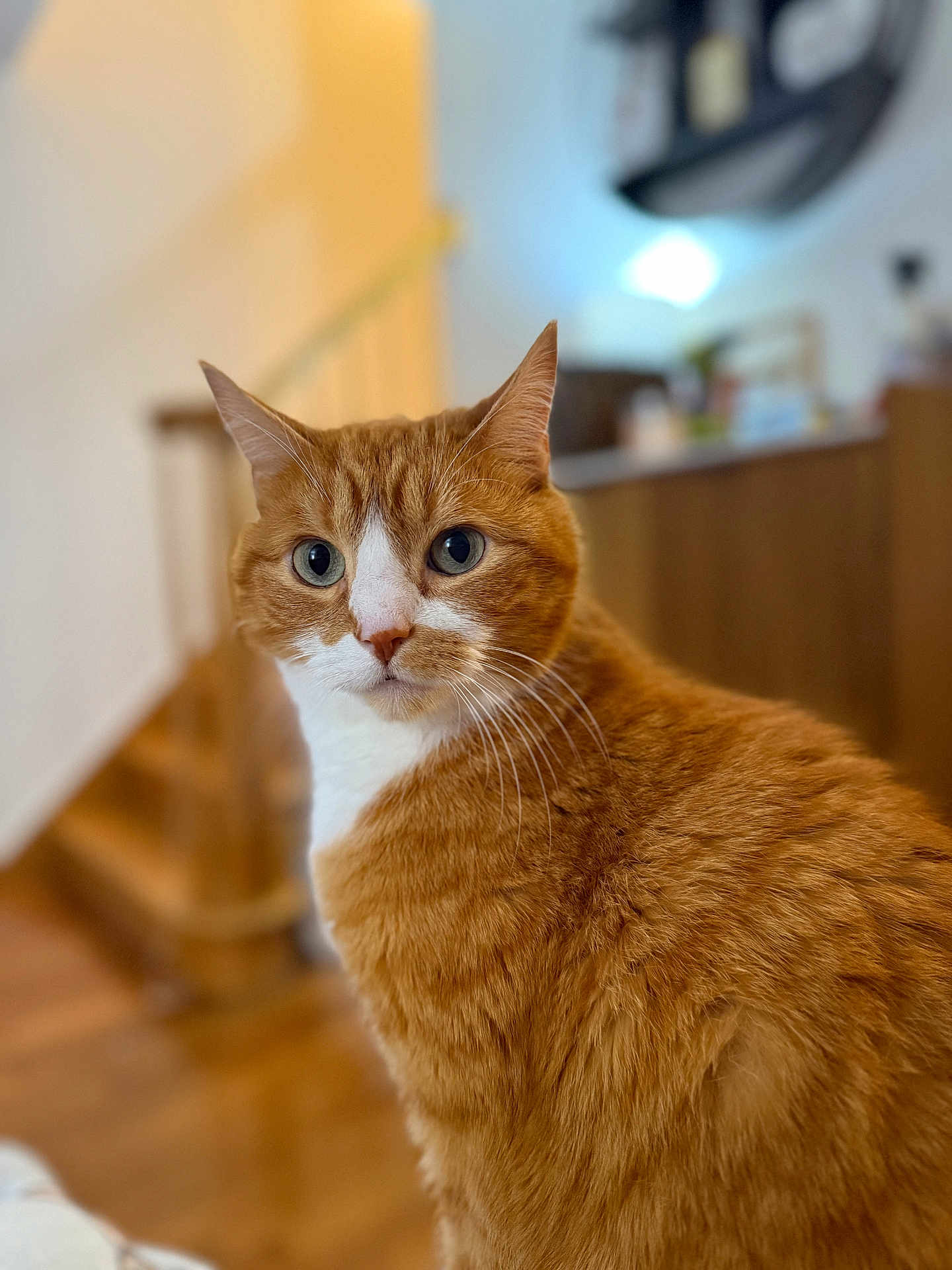 Milo