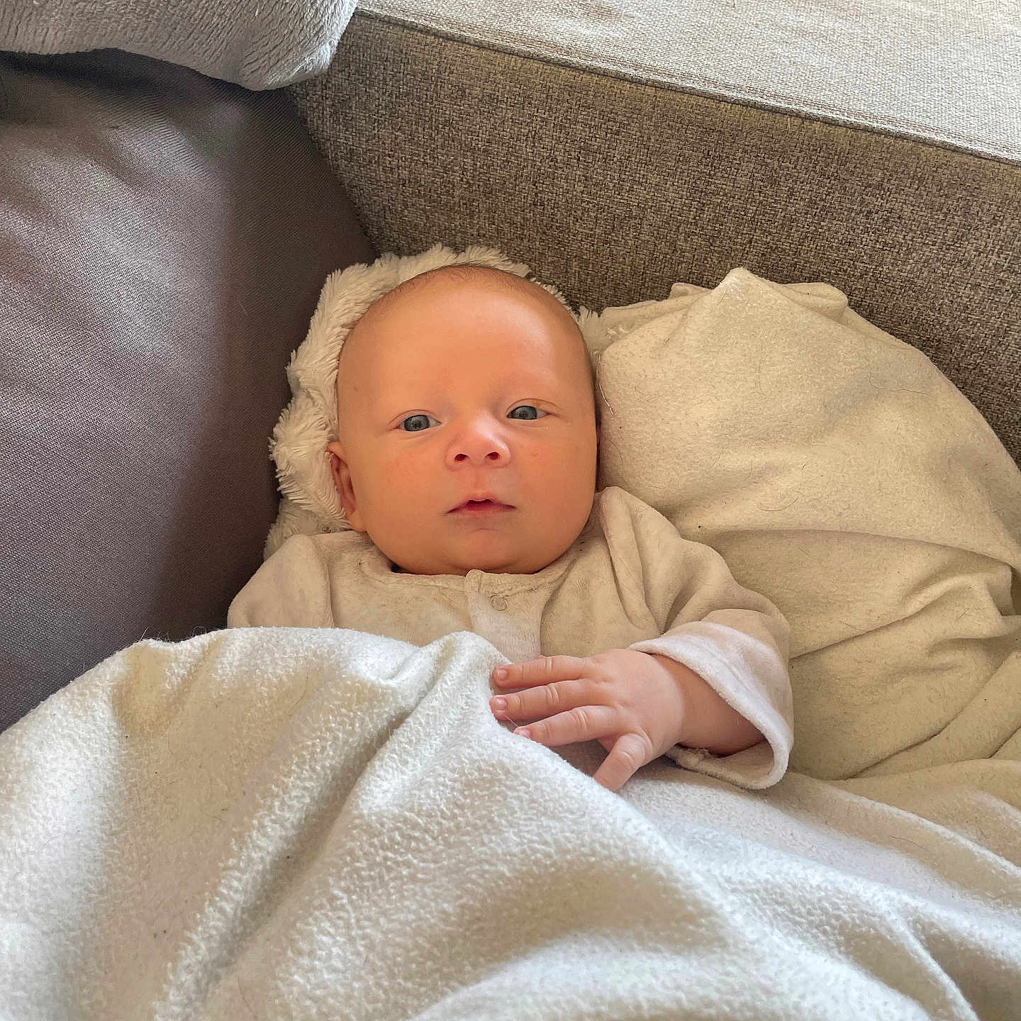 Mylan a rejoint le concours — aidez-le/la à gagner de superbes lots ! baby, blanket, casual, child, closeup, clothing, comfort, couch, cozy, face, hand, indoors, infant, neutral_colors, newborn, pillow, portrait, relaxed, resting, soft_texture