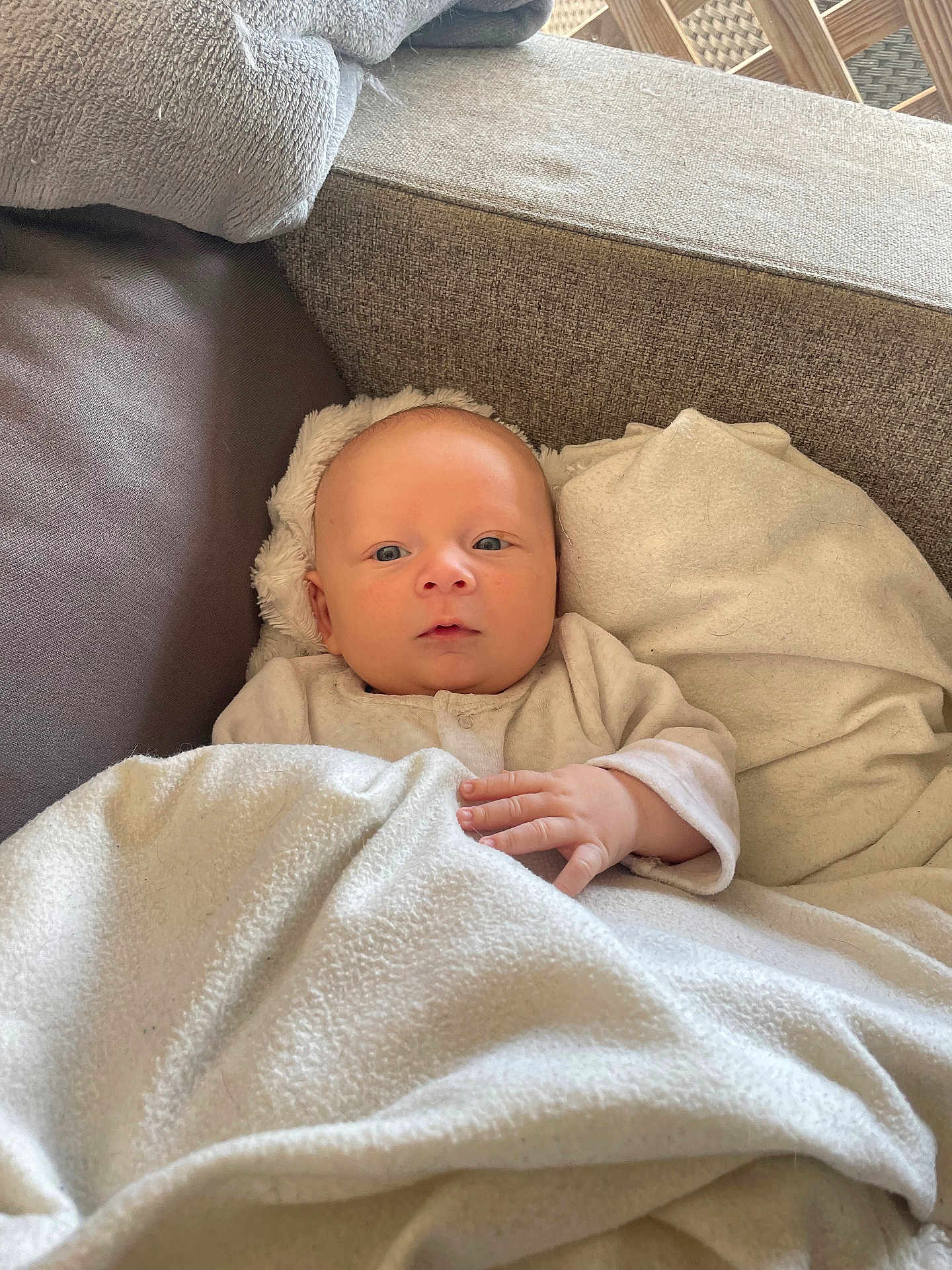 Mylan a rejoint le concours — aidez-le/la à gagner de superbes lots ! baby, infant, blanket, couch, pillow, face, hand, indoors, soft_texture, comfort, resting, clothing, neutral_colors, closeup, portrait, child, newborn, cozy, relaxed, casual