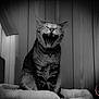 cat, tabby, yawning, indoor, pet, feline, animal, cozy, wood_paneling, bed, furry, whiskers, teeth, mouth_open, collar, portrait, black_and_white, domestic_cat, sitting, fur