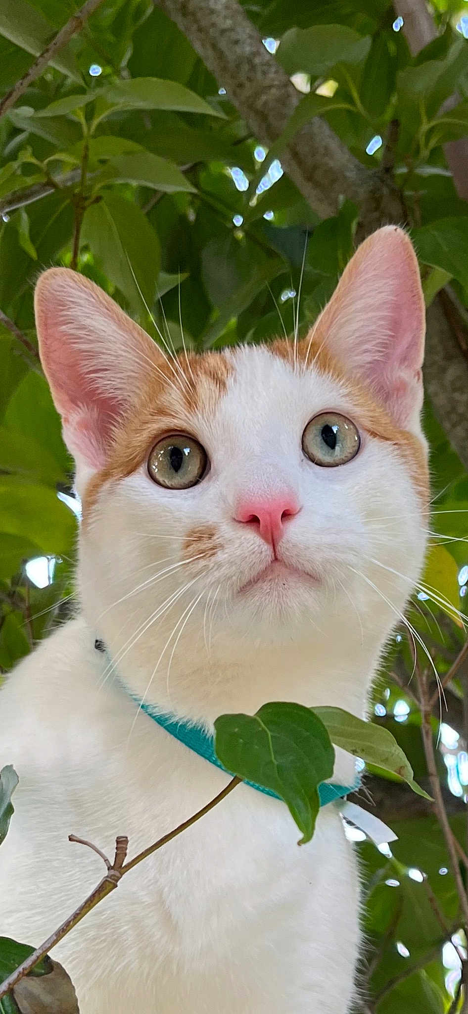 Riley