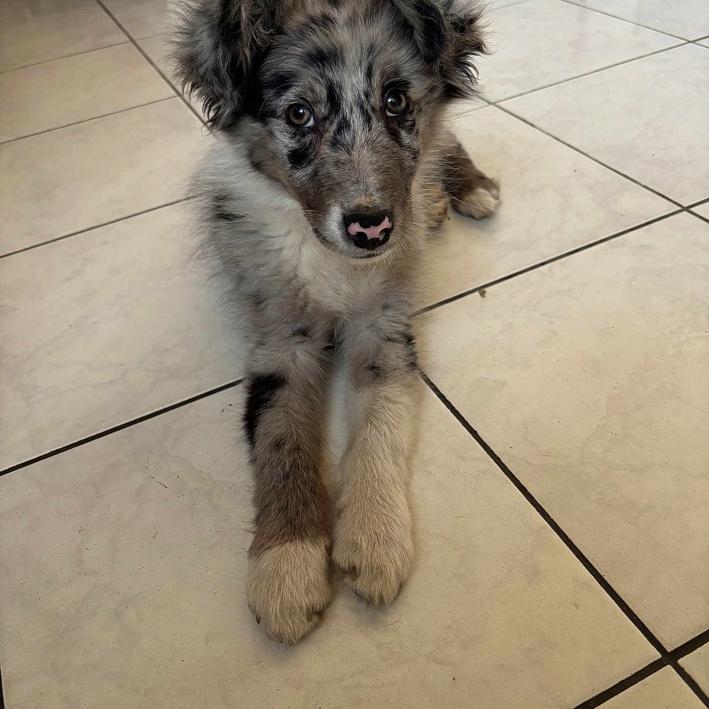 Baïco