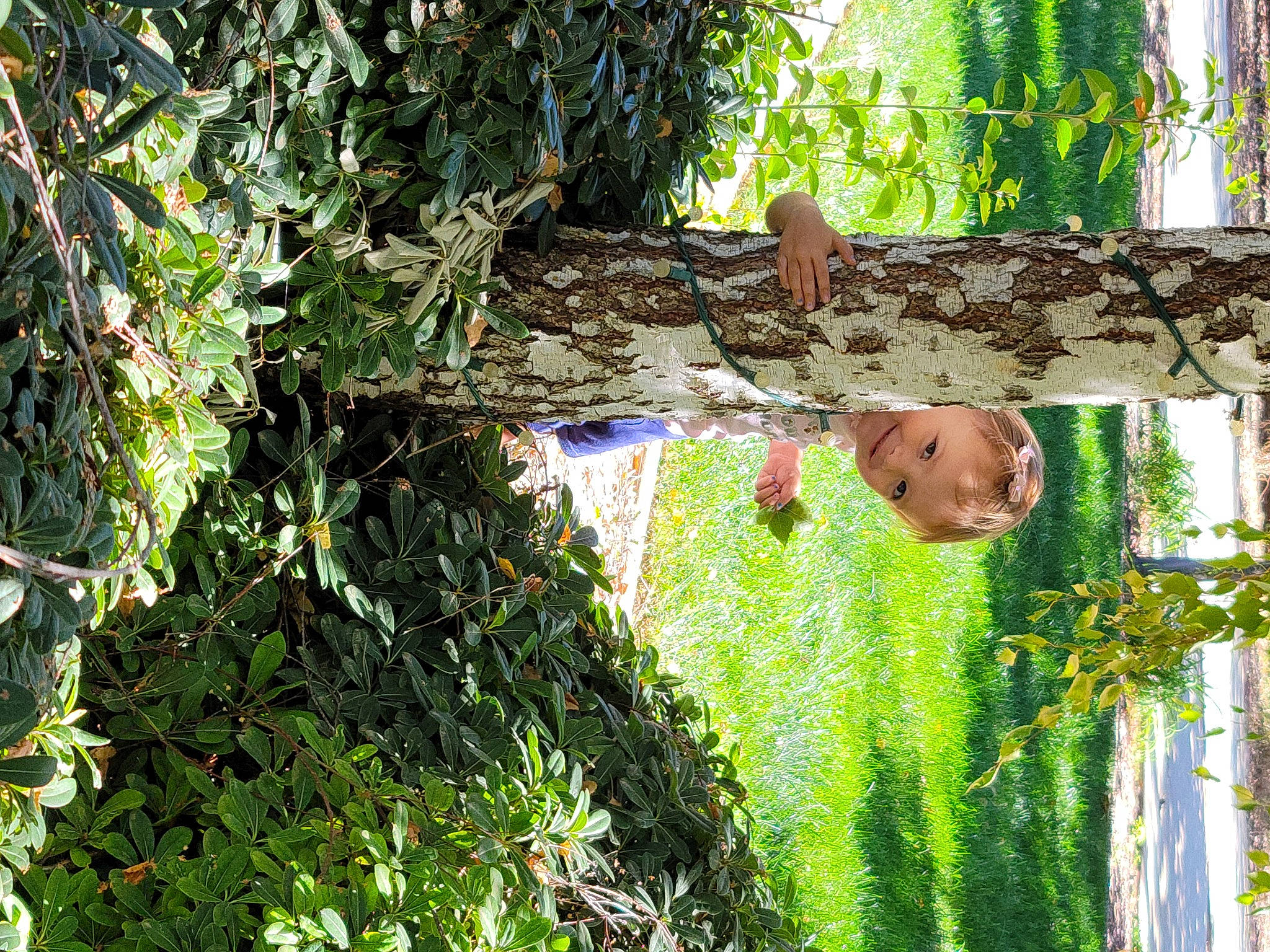 Brylee is registered to the contest to win money with this photo: biome, forest, garden, grass, green, groundcover, herb, joy, jungle, landscape, leisure, natural_landscape, people_in_nature, person, plant, shrub, terrestrial_plant, tree, trunk, vegetation