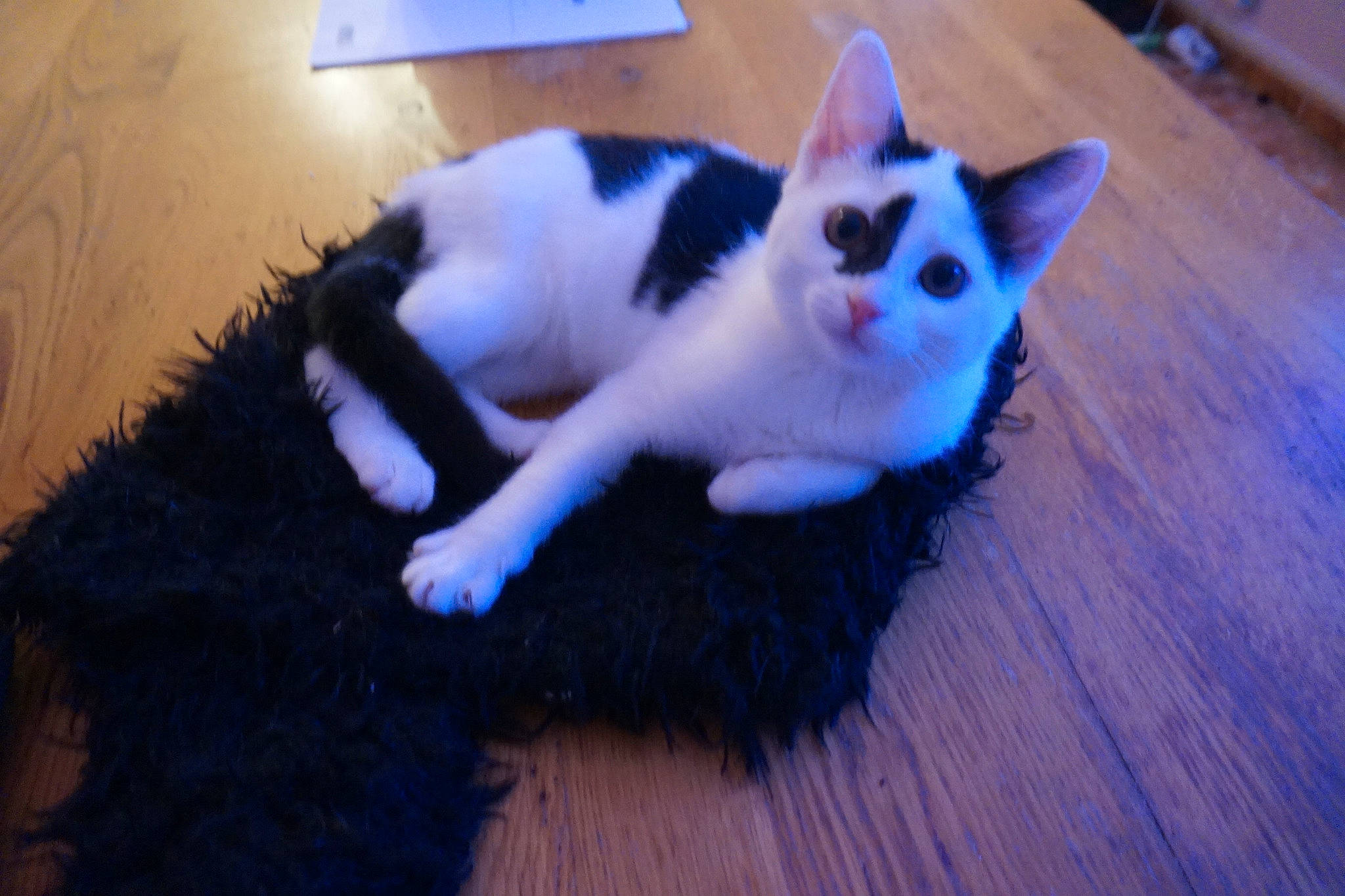 Nala