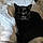 Salem