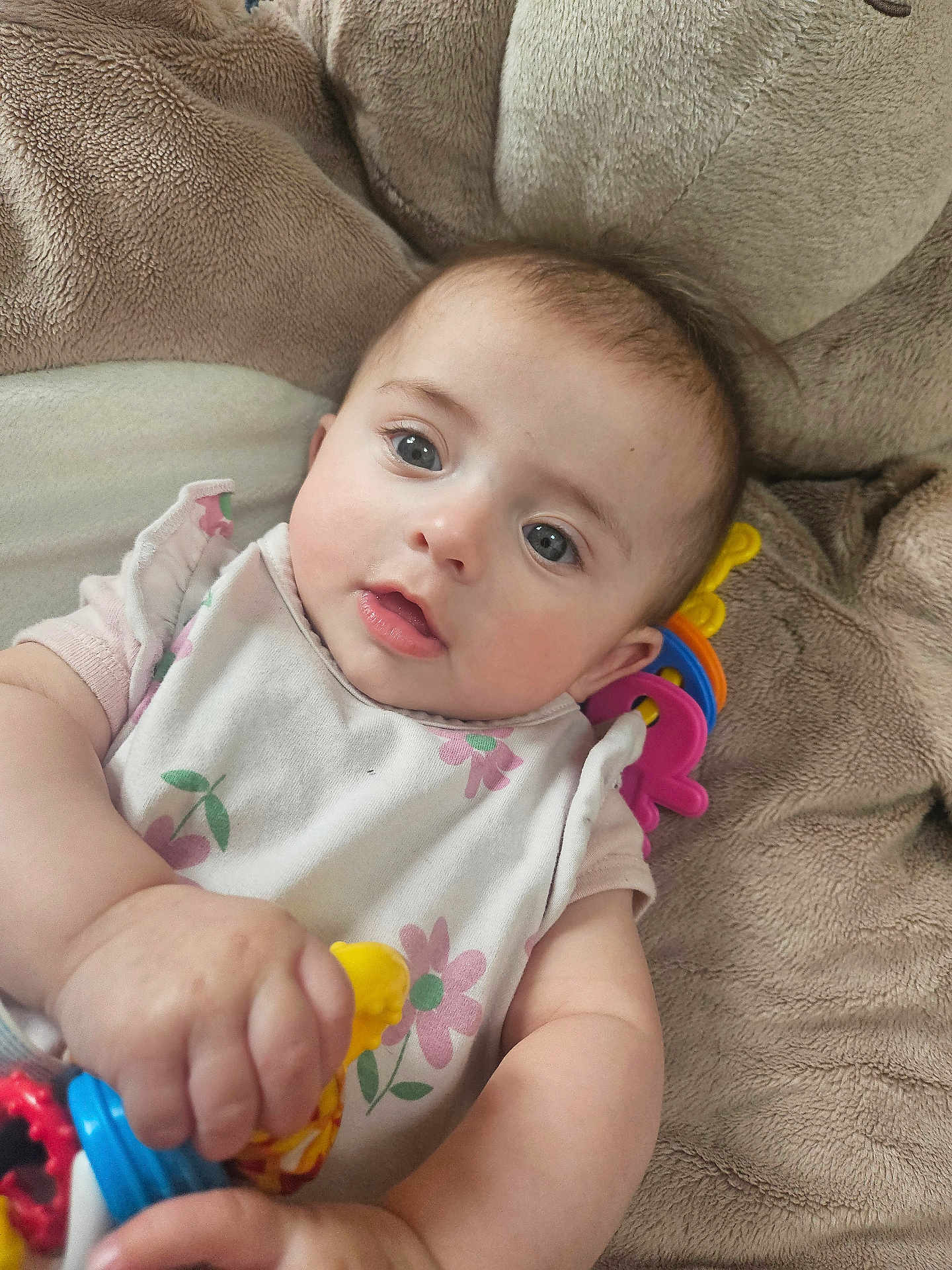 Amelia