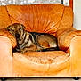 Cendre participe au concours pour gagner de l'argent avec cette photo :