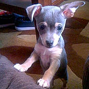 Chavez is registered to the contest to win money with this photo: