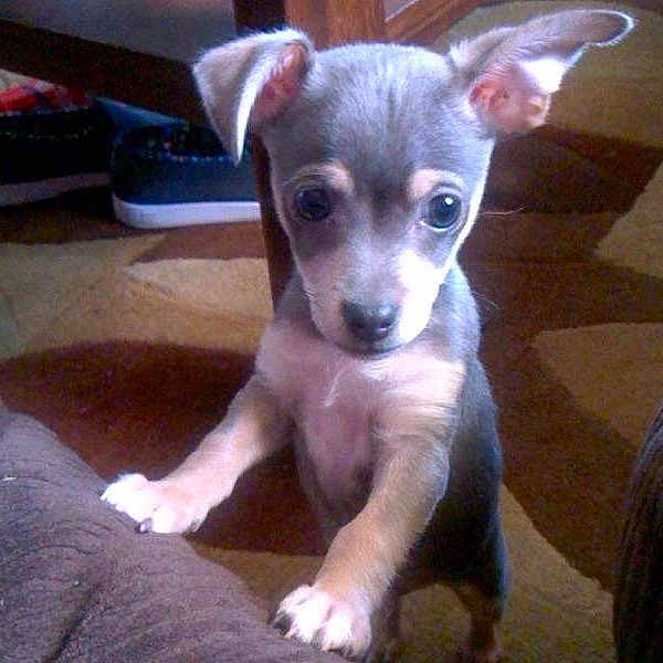 Chavez is registered to the contest to win money with this photo: