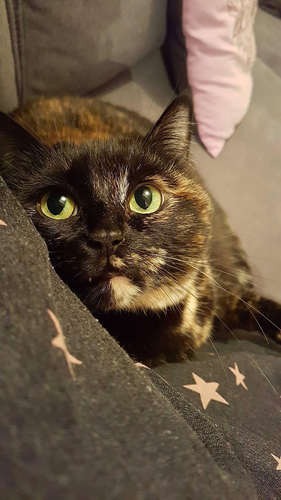 Saba