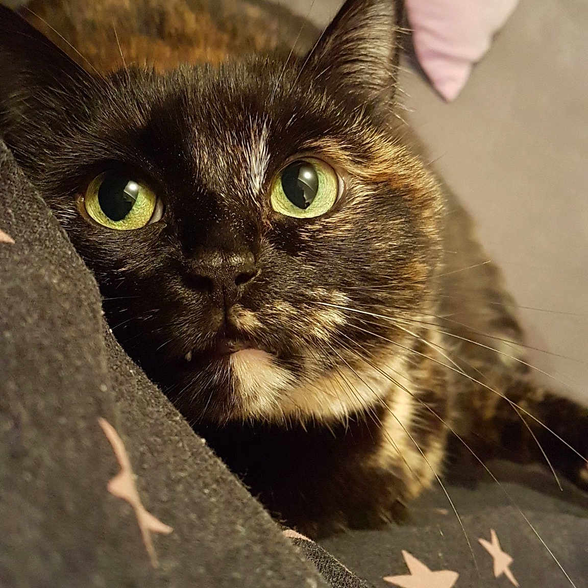 Saba
