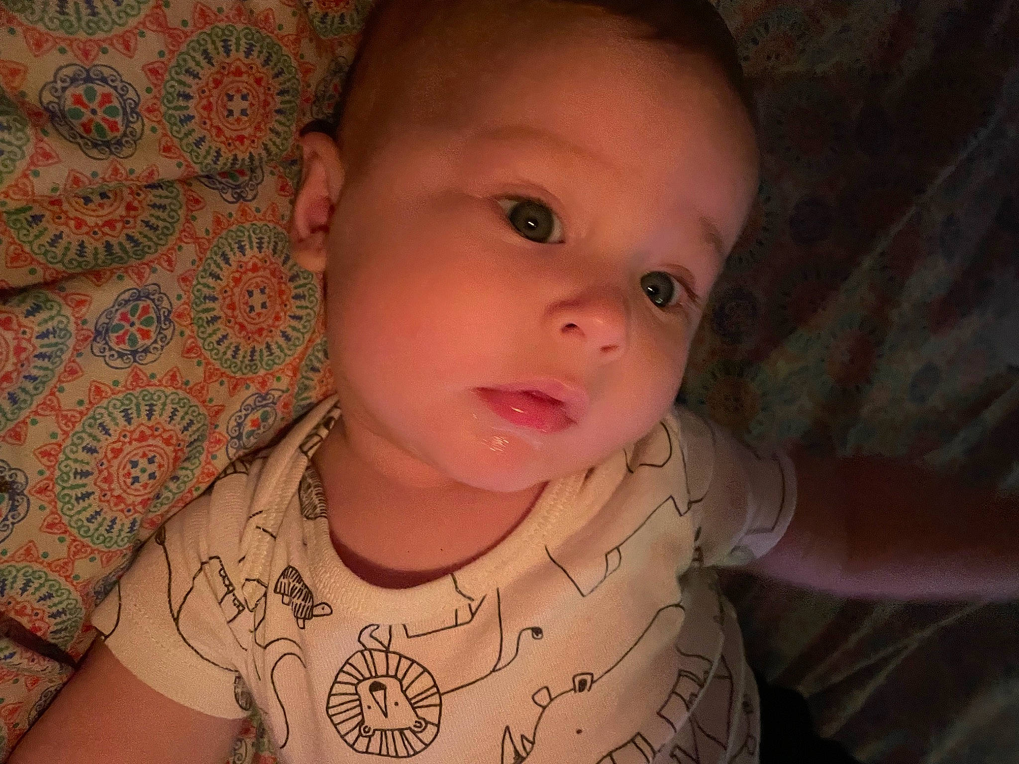 Konnar is registered to the contest to win money with this photo: arm, cheek, ear, eyebrow, eyelash, flash_photography, forehead, gesture, hand, human_body, iris, jaw, lip, mouth, muscle, neck, nose, organ, person, skin