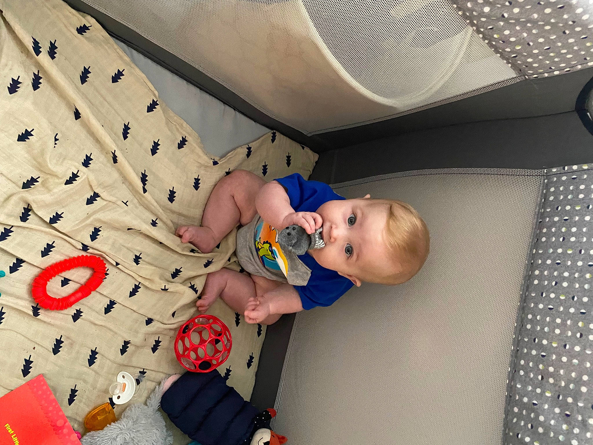 Konnar is registered to the contest to win money with this photo: baby, baby_products, baby_toddler_clothing, baby_toys, carmine, ceiling, child, comfort, flooring, fun, linens, pattern, person, play, product, room, surprise, toddler, toy