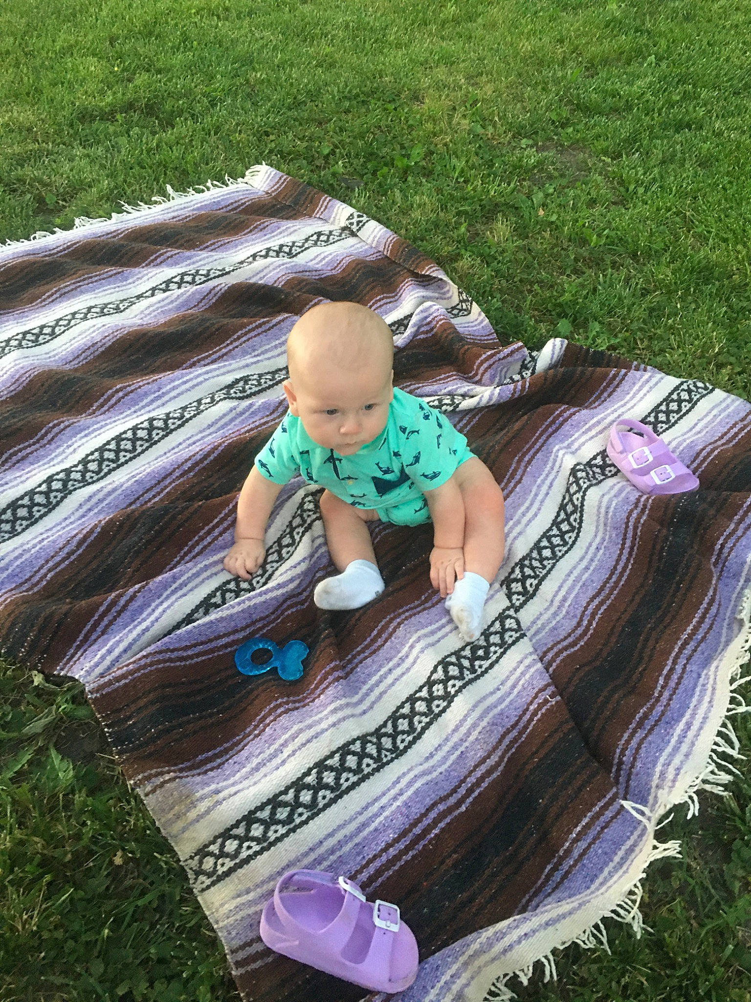 Jason joined the competition — help win amazing prizes! baby, child, fun, grass, lawn, leaf, person, plant, play, sitting, summer, toddler, vacation