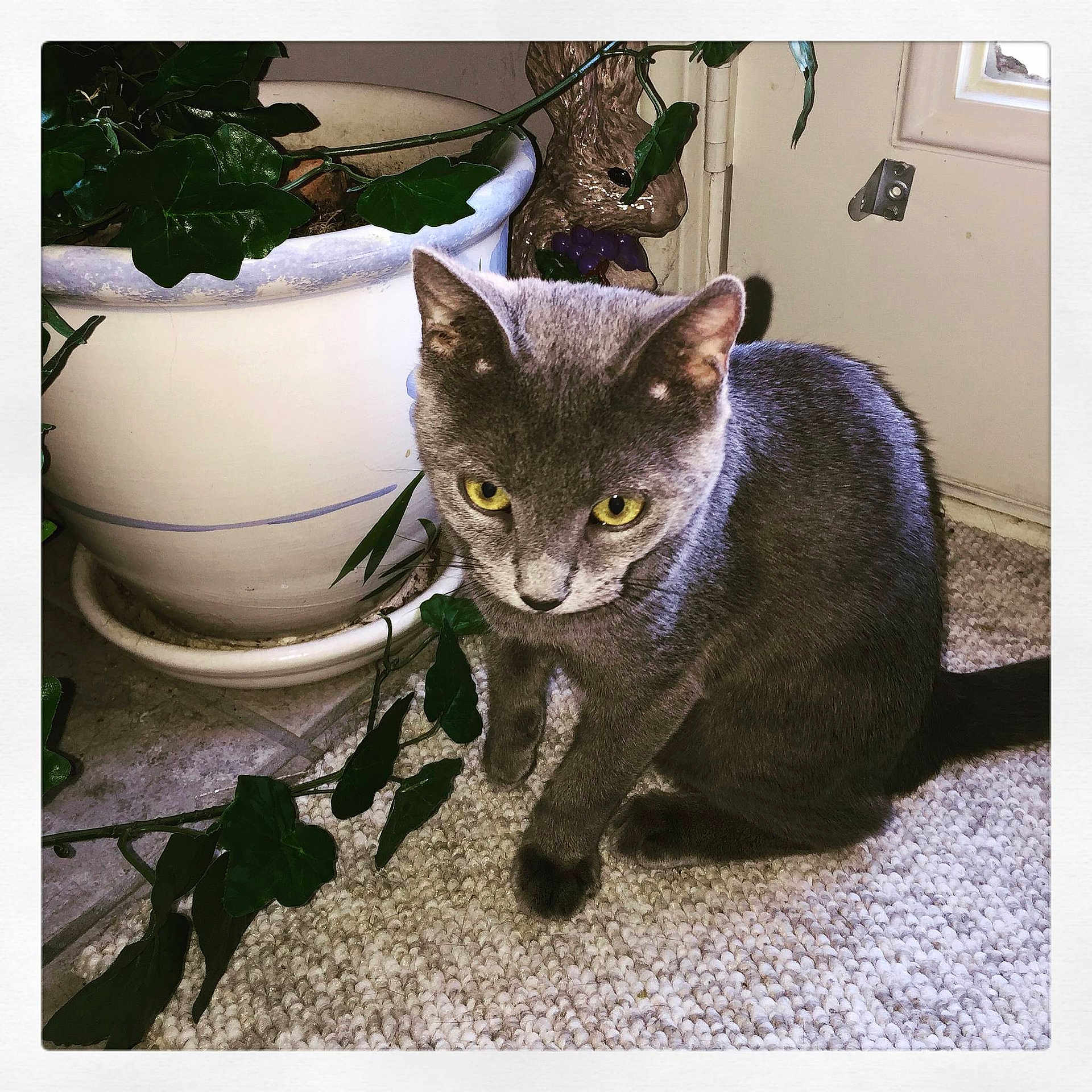 Sadie Lynn is registered to the contest to win money with this photo: