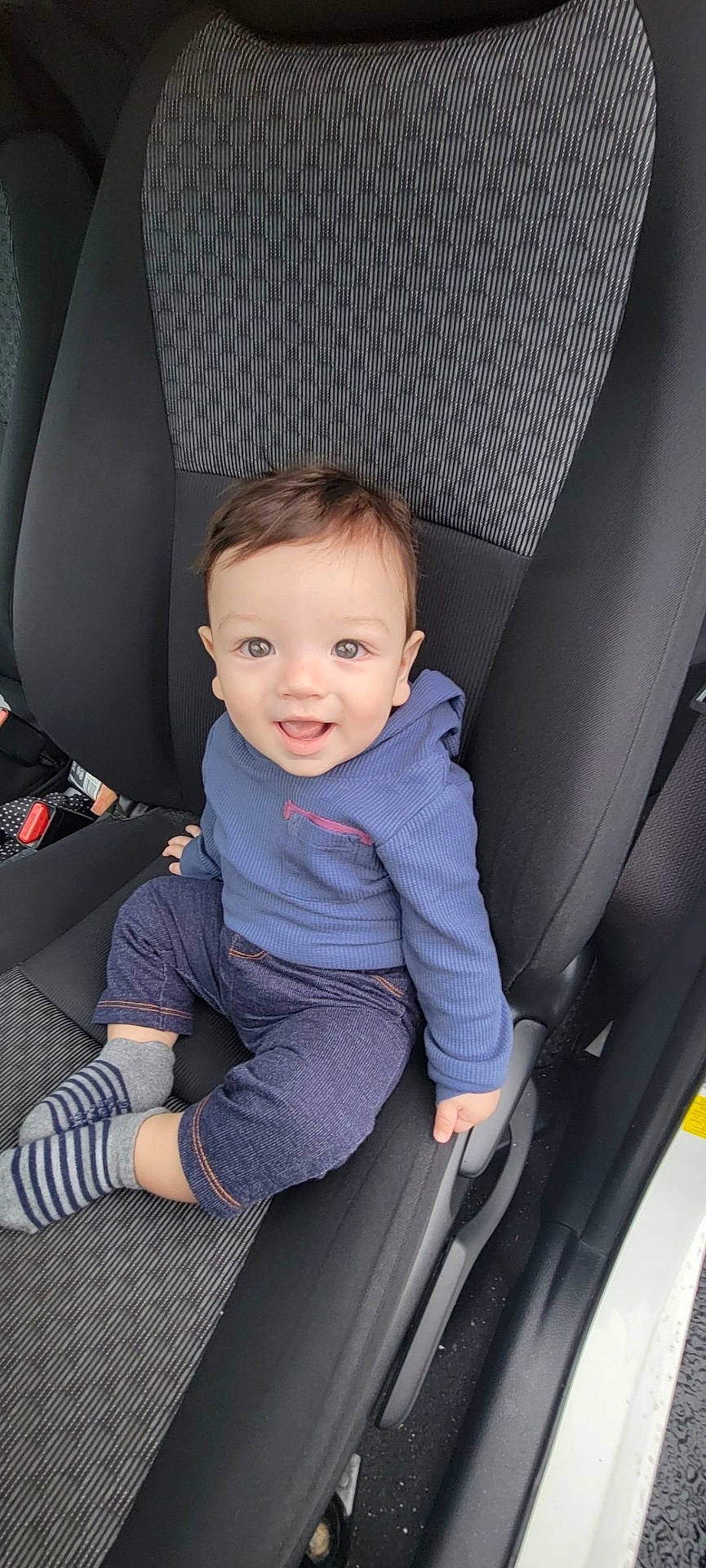 Donatello is registered to the contest to win money with this photo: accessories, baby, belt, clothing, cushion, face, footwear, head, homedecor, hosiery, pants, person, photography, portrait, shoe, shorts, sitting, sock, transportation, vehicle