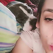 Zeus joined the competition — help win amazing prizes! animal, bed, blanket, casual, closeup, comfort, cozy, dog, face, friendship, home, human, indoor, intimate, person, pet, pillow, relaxation, resting, sleeping