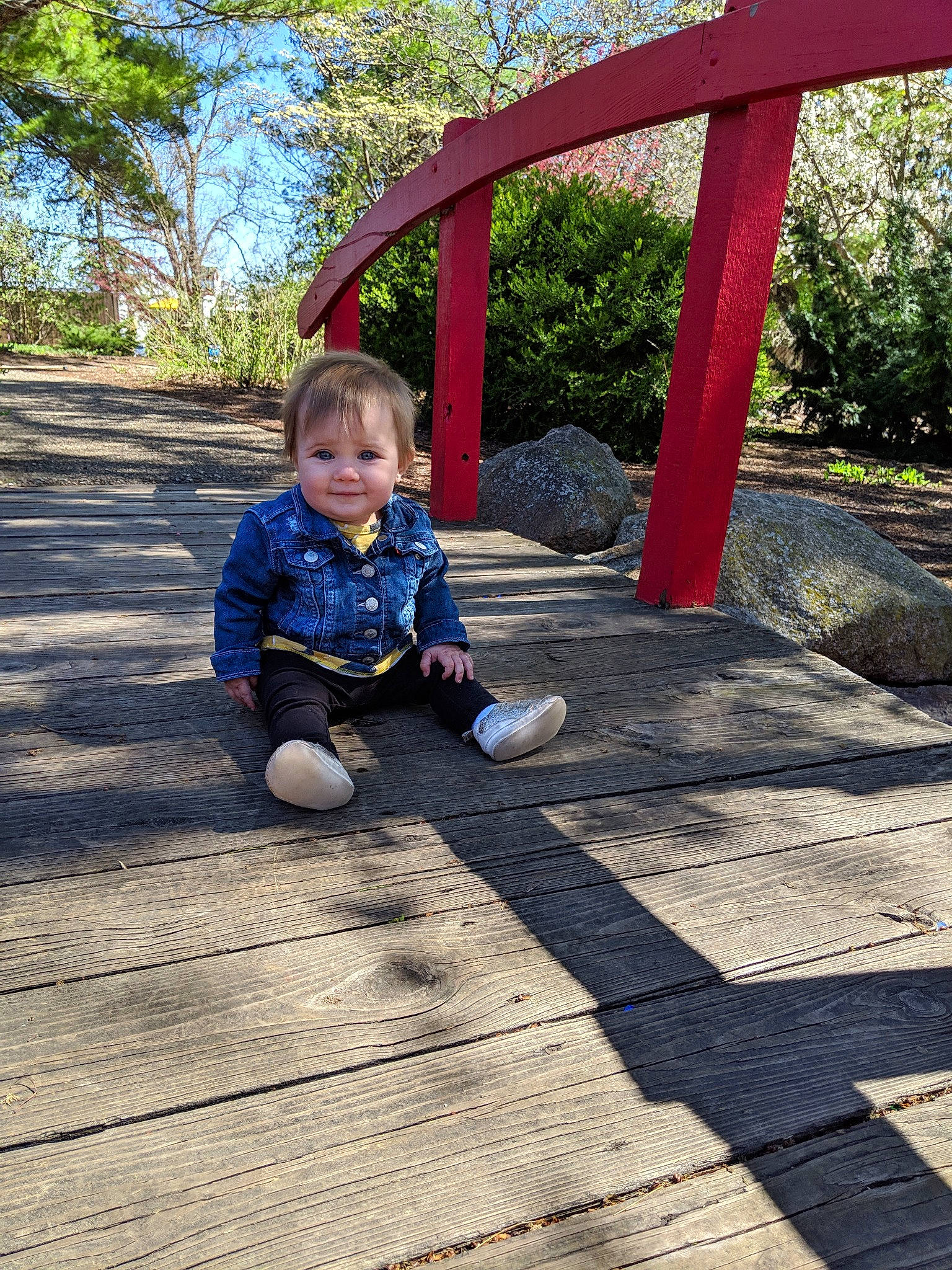 Kynzley is registered to the contest to win money with this photo: botany, child, joy, leaf, leg, leisure, park, person, plant, play, playground, public_space, recreation, rock, shadow, sitting, soil, spring, toddler, tree