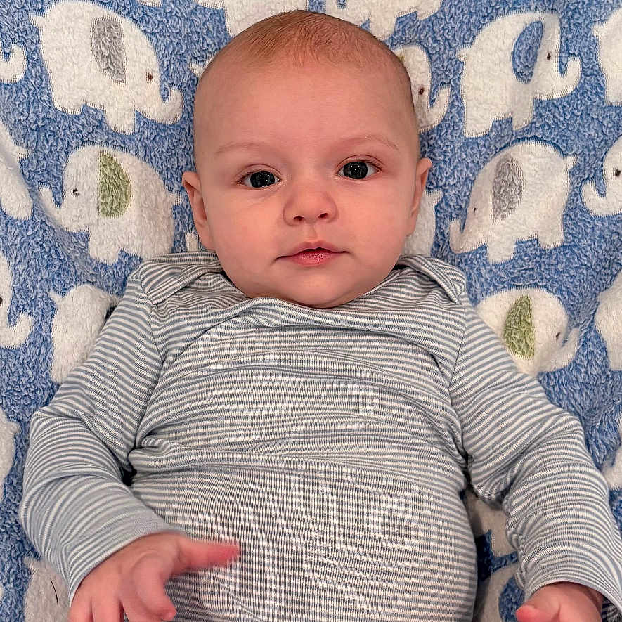 Jeremiah joined the competition — help win amazing prizes! baby, blanket, child, comfort, cute, elephants, expression, eyes, face, hands, indoors, infant, legs, lying_down, newborn, pattern, portrait, skin, soft_texture, striped_clothing