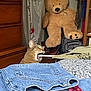 Rosie is registered to the contest to win money with this photo: animal, backpack, bedroom, casual, cat, cozy_room, curious_cat, domestic, fabric, folded_clothes, furniture, indoor, jeans, pet, plastic_bag, playful, sitting, teddy_bear, umbrella, wooden_dresser