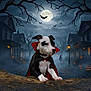 puppy, dog, costume, cape, vampire, halloween, night, full_moon, bats, jack_o_lantern, pumpkin, fog, spooky, street, house, tree, witch, dark, scary, cute