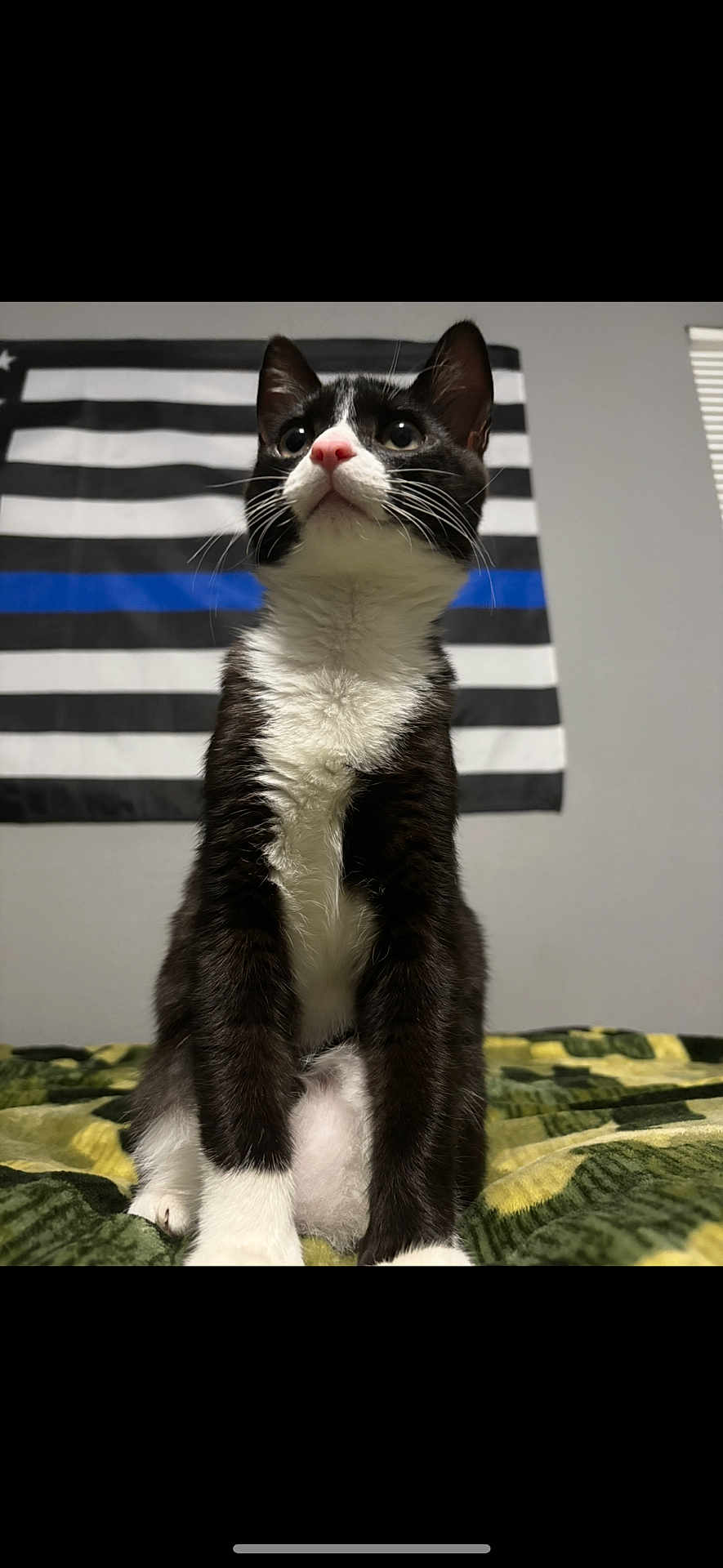 Felix