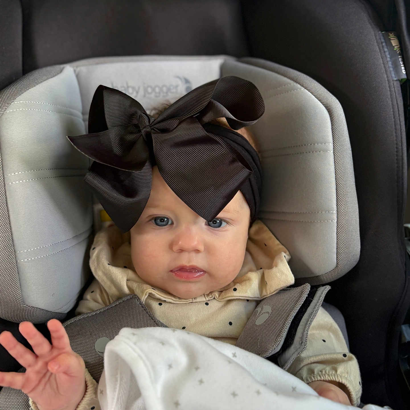 Elianna is registered to the contest to win money with this photo: baby, car_seat, headband, bow, blanket, infant, child, clothing, person, seatbelt, blue_eyes, cute, indoor, soft_lighting, apparel, young_child, hand, expression, face, portrait