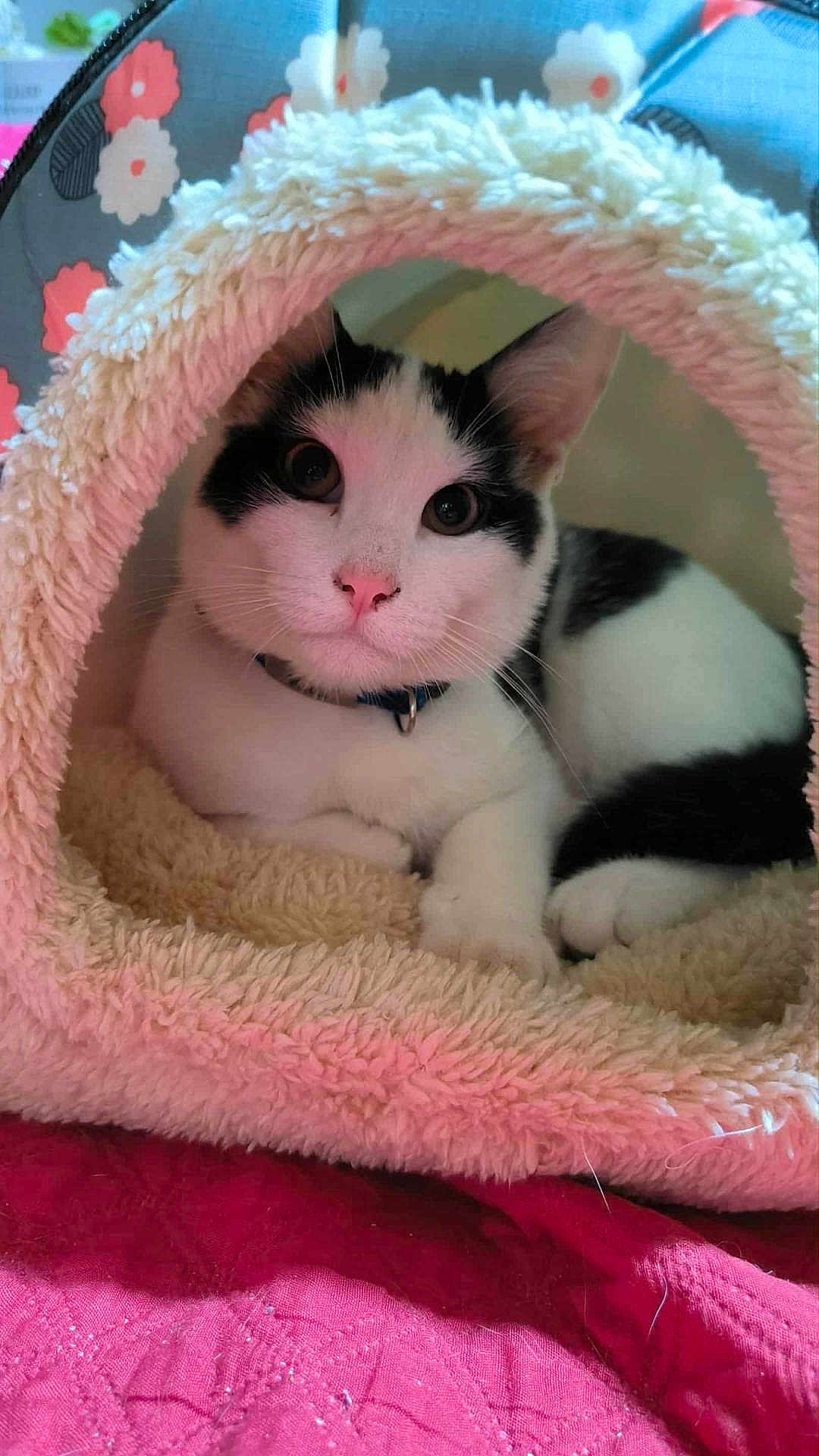 Kiki