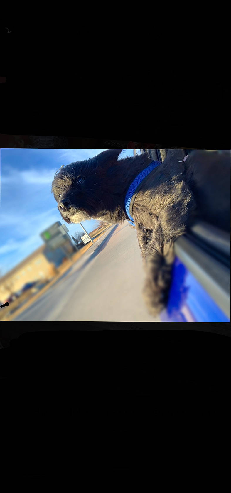 Loki joined the competition — help win amazing prizes! auto_part, automotive_mirror, automotive_window_part, darkness, display_device, driving, electric_blue, flash_photography, gadget, glass, luxury_vehicle, rear_view_mirror, reflection, shadow, sky, tints_and_shades, tree, vehicle_door, windshield, wing