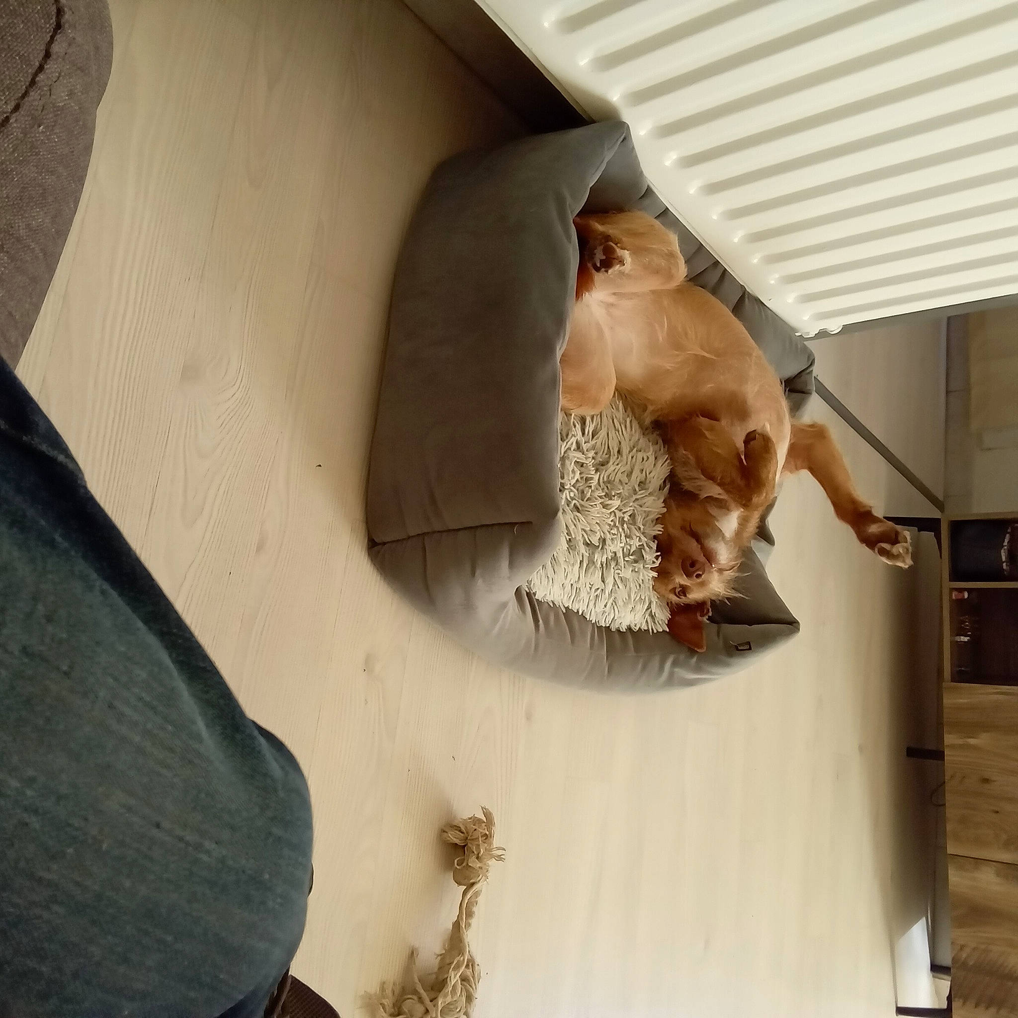 Lexie a rejoint le concours — aidez-le/la à gagner de superbes lots ! art, beard, carving, ceiling, circle, classical_sculpture, eyewear, flooring, metal, plaster, room, sculpture, visual_arts, wood