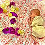 Jordan joined the competition — help win amazing prizes! accessories, anemone, anther, aquilegia, art, baby, bed, bedroom, blanket, blouse, bodypart, bonnet, carnation, clothing, couch, crib, cushion, daffodil, dahlia, daisy