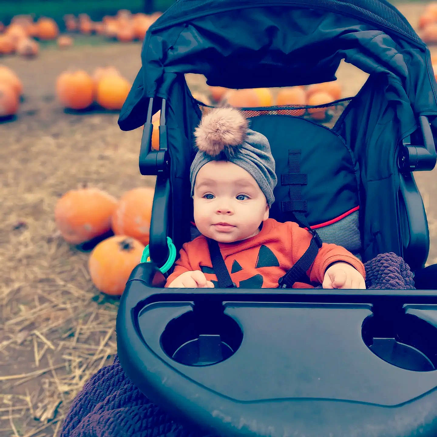 Stevie joined the competition — help win amazing prizes! azure, baby, baby_toddler_clothing, blue, comfort, cucurbita, facial_expression, fun, green, happy, headwear, leisure, orange, person, photograph, product, pumpkin, toddler, travel, white