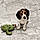 Arlo