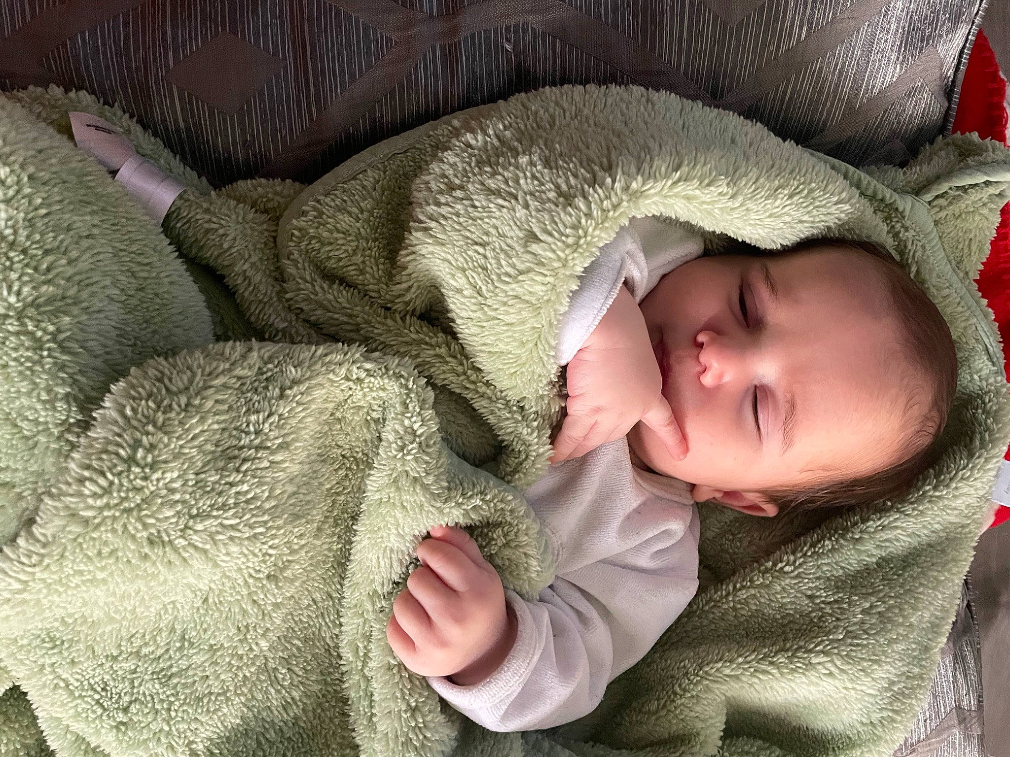 Loan a rejoint le concours — aidez-le/la à gagner de superbes lots ! baby, baby_products, baby_sleeping, baby_toddler_clothing, cheek, child, comfort, ear, eye, fur, gesture, grass, headgear, linens, nose, person, skin, textile, toddler, tree