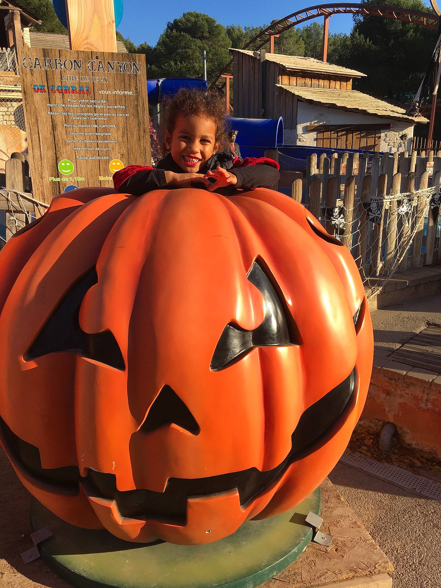 Elaïna participe au concours pour gagner de l'argent avec cette photo : _and_melon_family, _gourd, calabaza, carving, craft, creative_arts, cucumber, cucurbita, gourd, holiday, jack_o_lantern, joy, local_food, natural_foods, orange, person, produce, pumpkin, squash, tradition