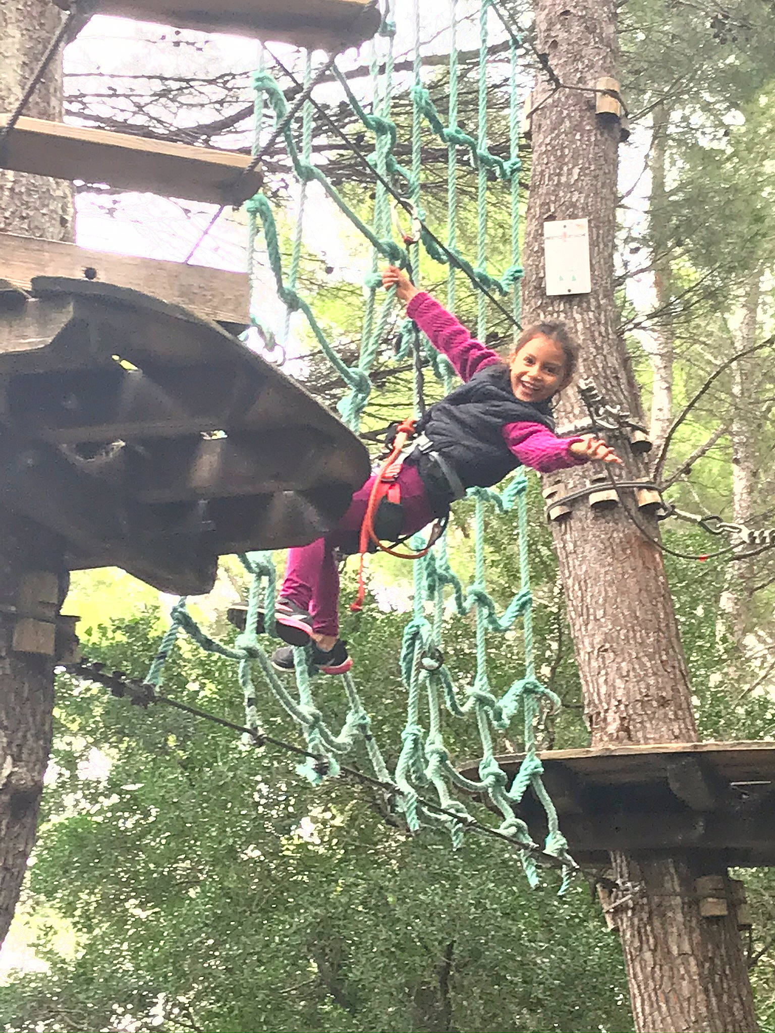 Ambre a rejoint le concours — aidez-le/la à gagner de superbes lots ! adventure, chain_link_fencing, forest, joy, jungle, northern_hardwood_forest, old_growth_forest, people_in_nature, person, reptile, rope, trunk, valdivian_temperate_rain_forest, wire_fencing, woodland