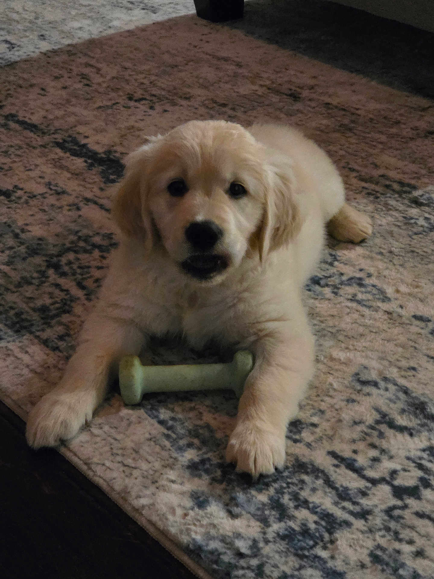 Mylo
