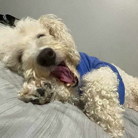 Ben