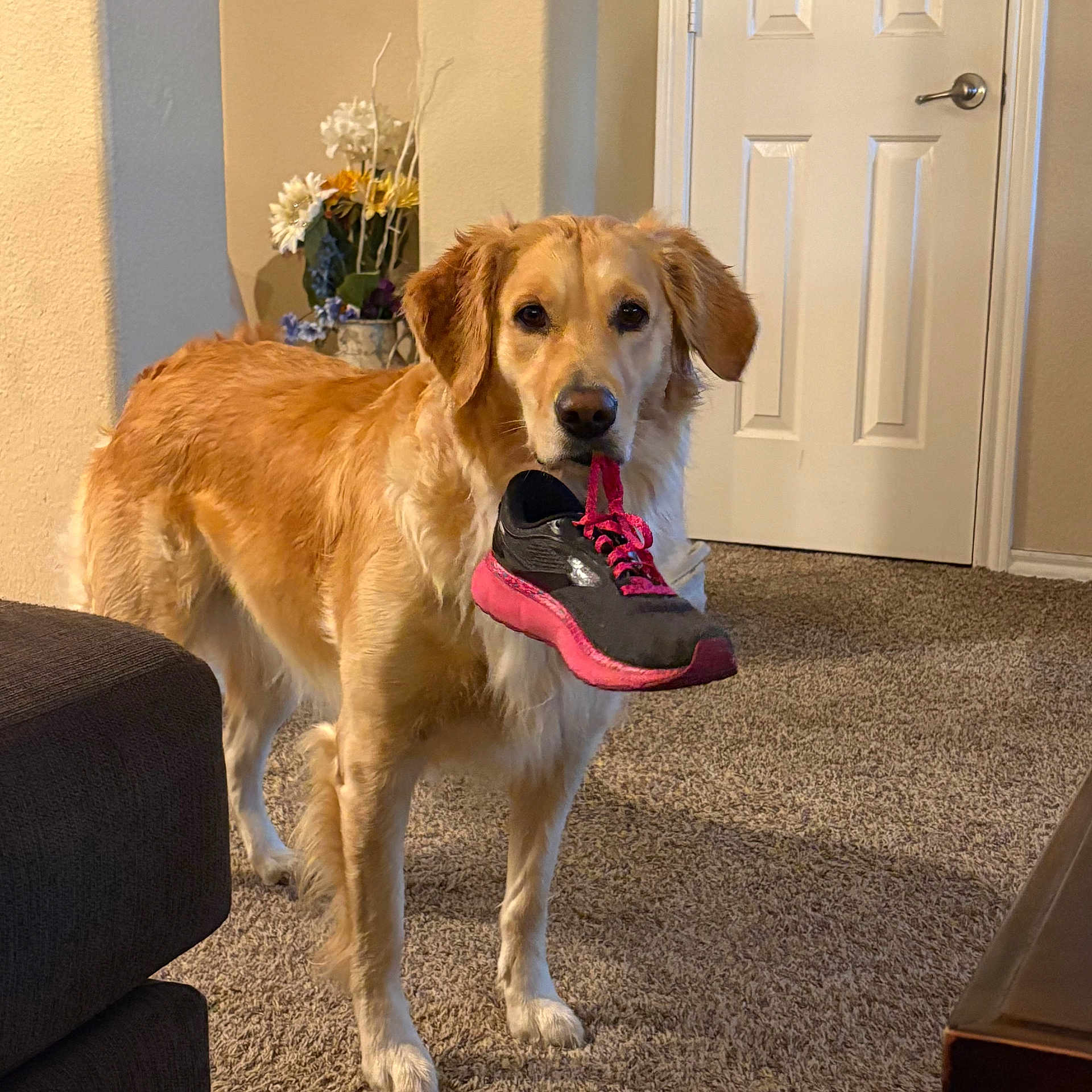 Sadie Marie